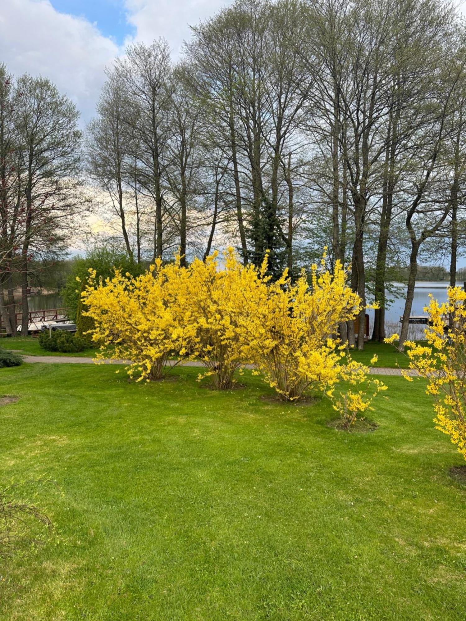 Vila Viesai Trakai Exterior photo